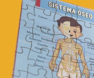Rompecabezas sistema óseo